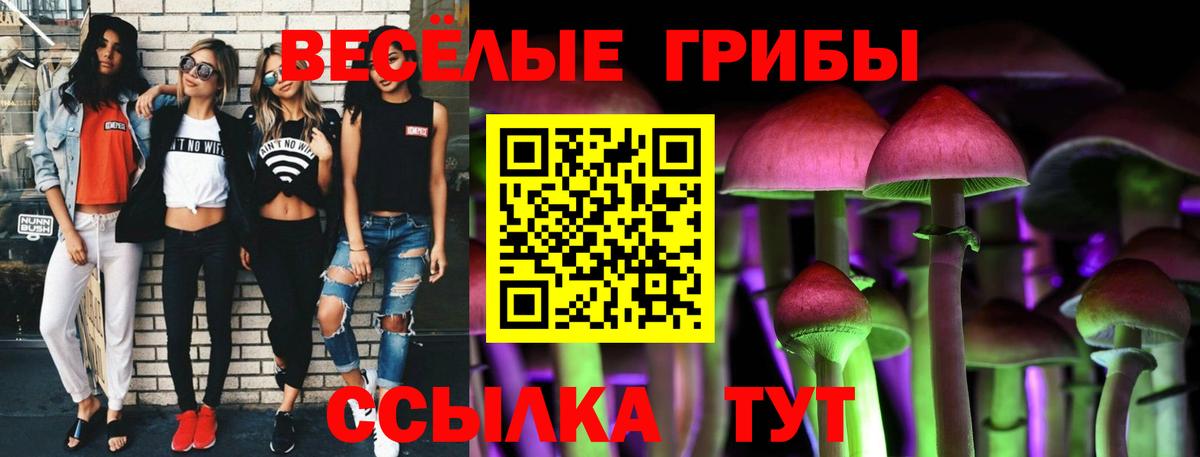 Сегежа  Галлюциногенные грибы ЛСД  где купить   Вход с VPN 