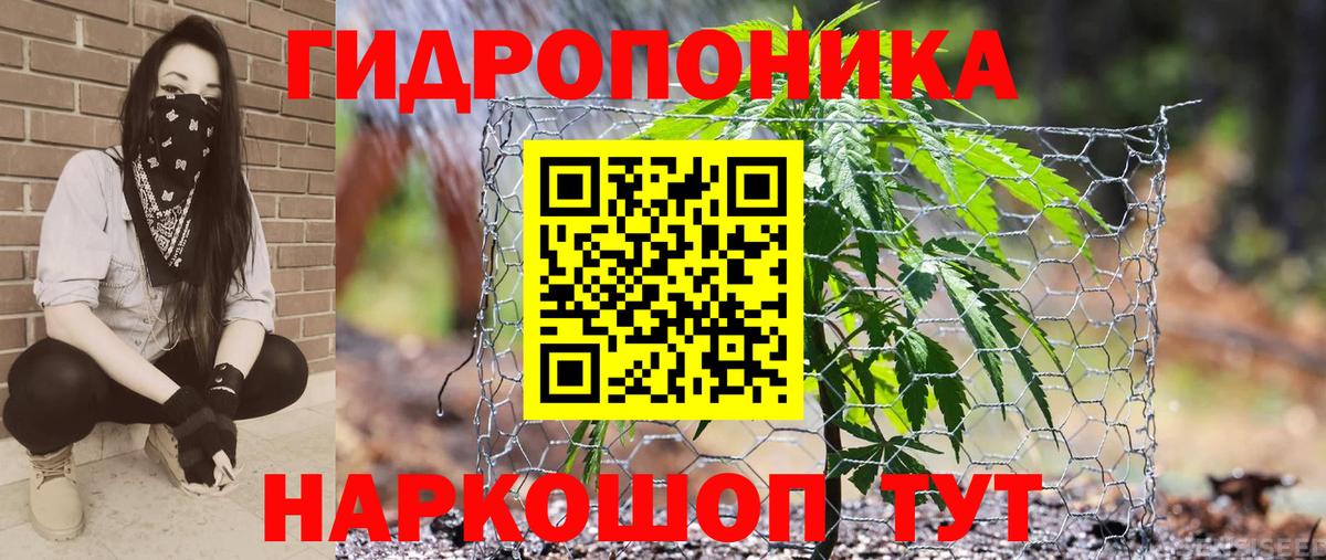 МАРИХУАНА индика  Вход с VPN  Бошки марихуана OG Kush  Сегежа  МАРИХУАНА SATIVA & INDICA 
